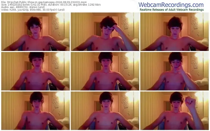 stripchat-gaygamogey-08-09-2024-23-16-31