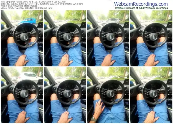 stripchat-jk1981jk-08-09-2024-11-04-17