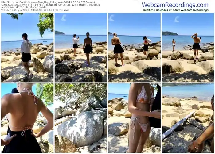 stripchat-two_hot_cats_love-08-10-2024-05-39-30