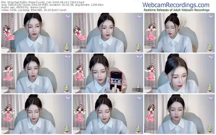 stripchat-lucky_cat--08-10-2024-17-26-23