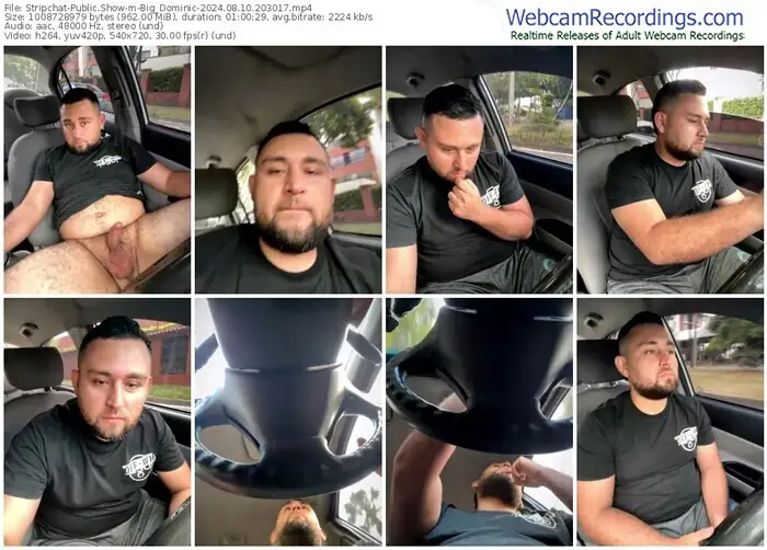 stripchat-big_dominic-08-10-2024-20-30-17