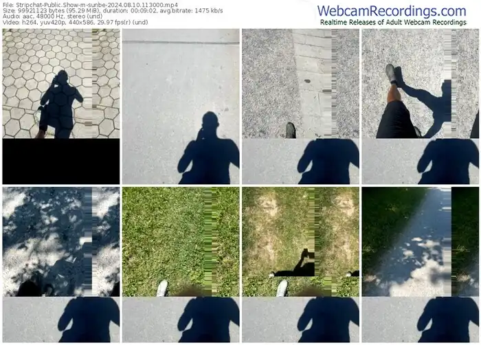 stripchat-sunbe-08-10-2024-11-30-00