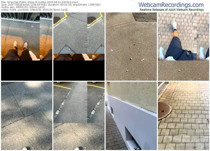 stripchat-sunbe-08-10-2024-16-00-22