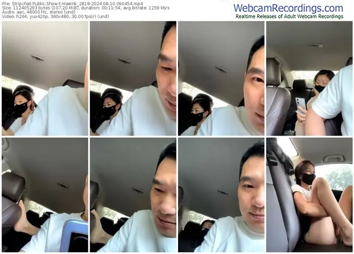 stripchat-haeink_2818-08-10-2024-09-04-54