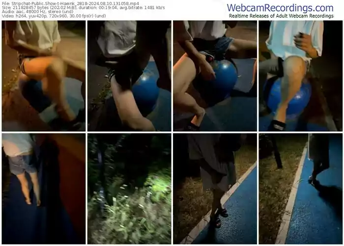 stripchat-haeink_2818-08-10-2024-13-10-58