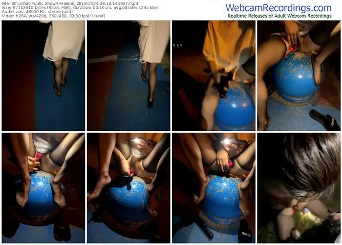 stripchat-haeink_2818-08-10-2024-14-59-37