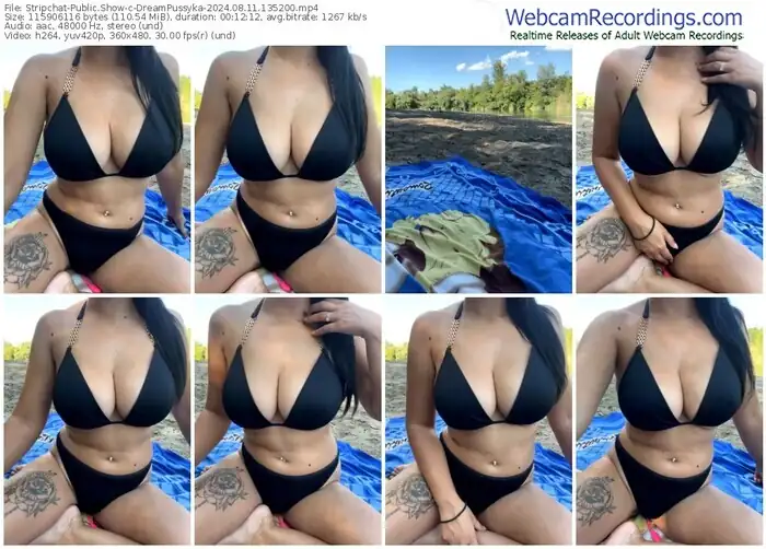 stripchat-dreampussyka-08-11-2024-13-52-00
