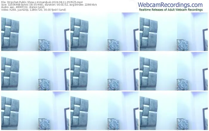 stripchat-kimandyuk-08-11-2024-05-35-25