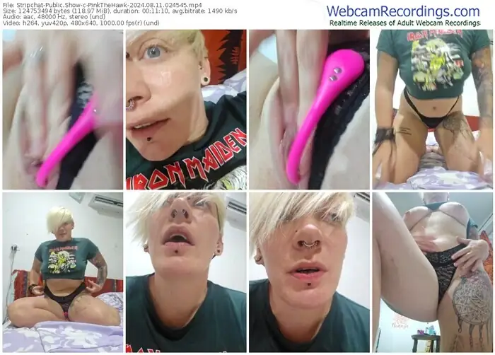 stripchat-pinkthehawk-08-11-2024-02-45-45