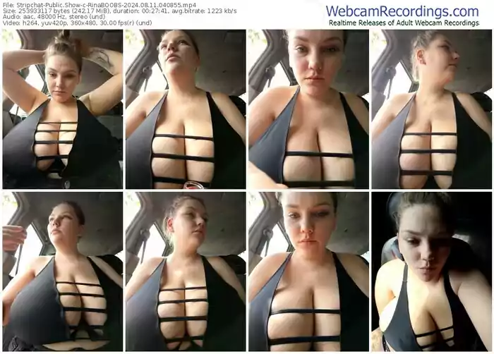 stripchat-rinaboobs-08-11-2024-04-08-55