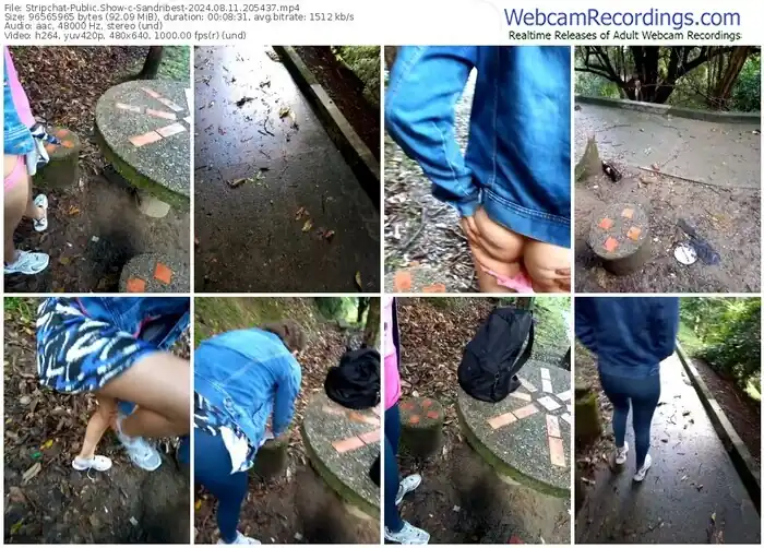 stripchat-sandribest-08-11-2024-20-54-37
