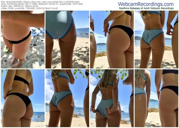 stripchat-two_hot_cats_love-08-11-2024-06-18-45