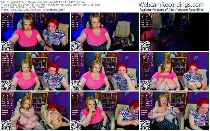 stripchat-yoki_shizuko-08-11-2024-14-25-12