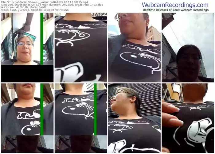 stripchat-__valentina18-08-11-2024-18-02-35