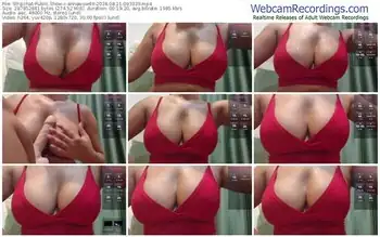 stripchat-annawow69-08-11-2024-09-33-39