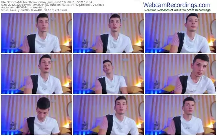 stripchat-dilany_and_josh-08-11-2024-15-07-10