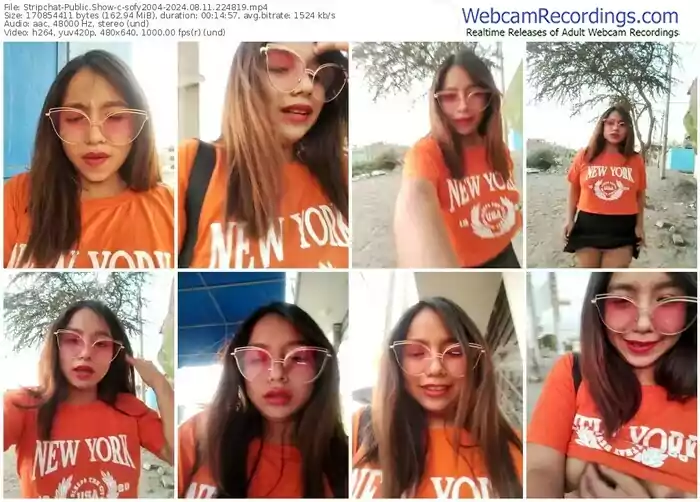 stripchat-sofy2004-08-11-2024-22-48-19