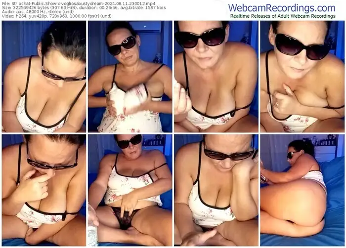 stripchat-vogliosabustydream-08-11-2024-23-00-12