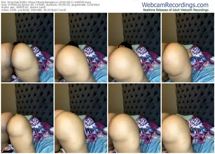 stripchat-bootybangerxxx-08-11-2024-04-50-49