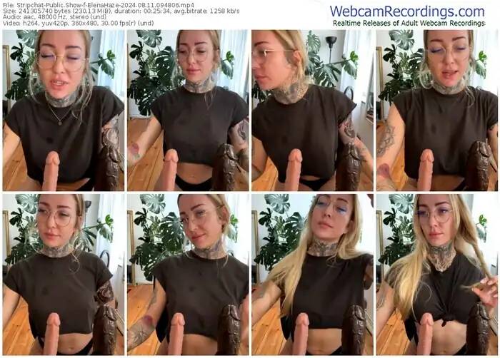 stripchat-elenahaze-08-11-2024-09-48-06