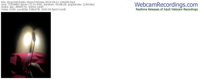 stripchat-felinae-08-11-2024-19-42-38