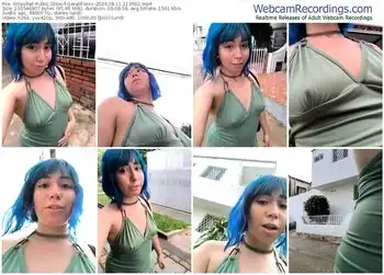 stripchat-gerallfoxxx-08-11-2024-11-35-02