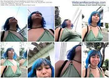 stripchat-gerallfoxxx-08-11-2024-11-48-38