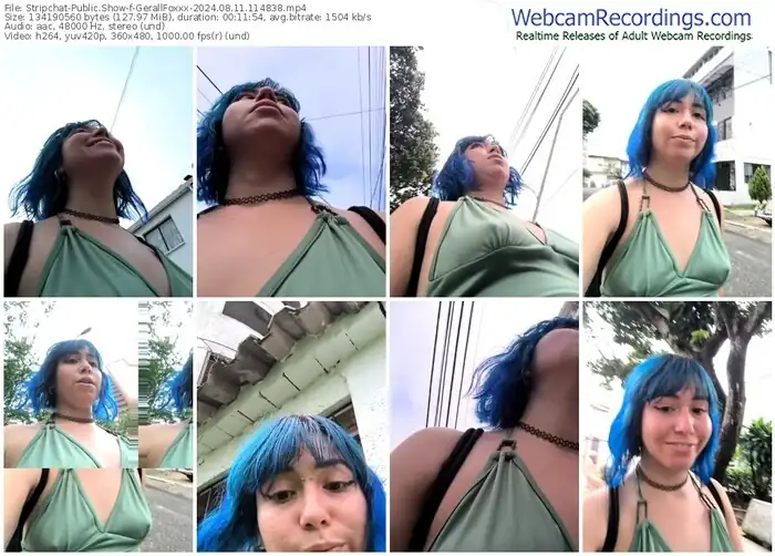 stripchat-gerallfoxxx-08-11-2024-11-48-38