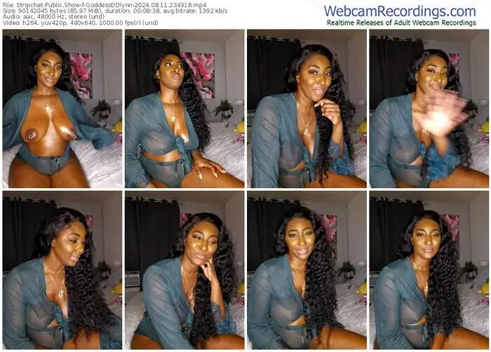 stripchat-goddessddlynn-08-11-2024-23-43-18