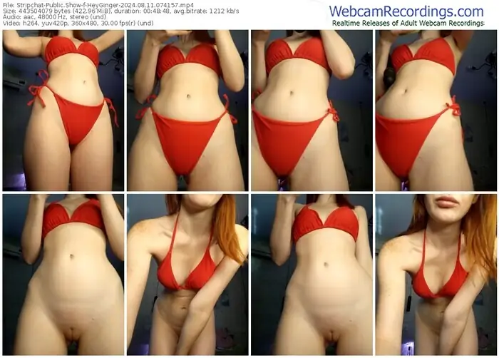 stripchat-heyginger-08-11-2024-07-41-57