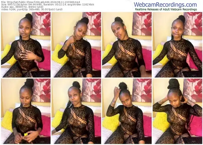 stripchat-inklady444-08-11-2024-19-33-48