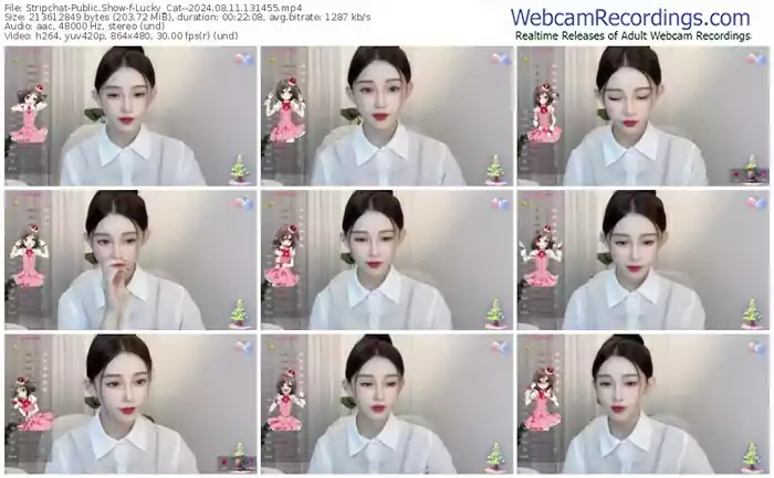 stripchat-lucky_cat--08-11-2024-13-14-55
