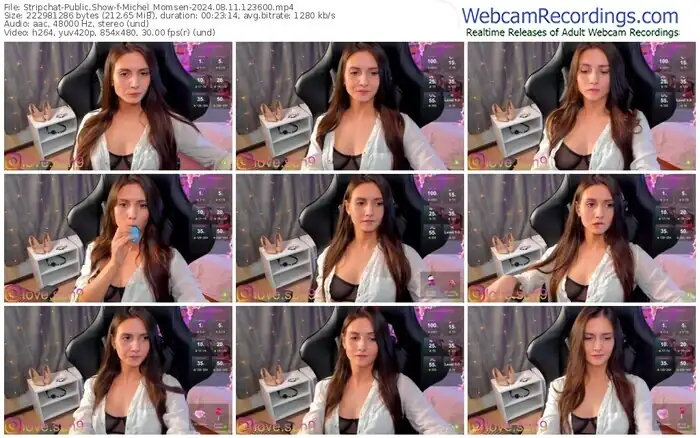 stripchat-michel_momsen-08-11-2024-12-36-00