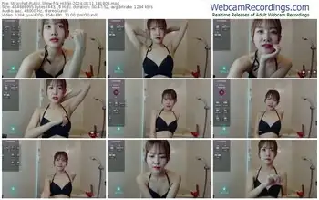 stripchat-n_hibiki-08-11-2024-14-18-09