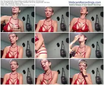 stripchat-perla_wonder-08-11-2024-00-10-29