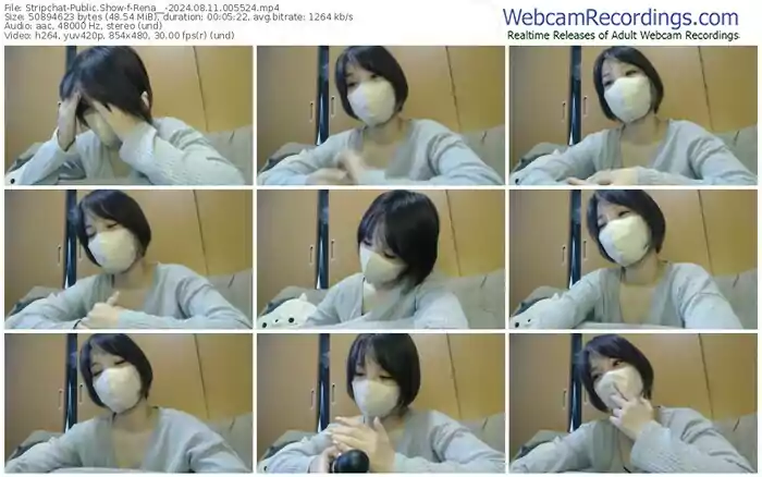 stripchat-rena__-08-11-2024-00-55-24
