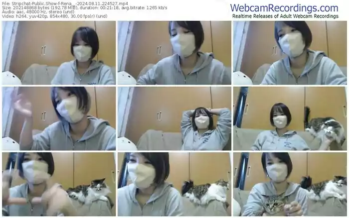 stripchat-rena__-08-11-2024-22-45-27