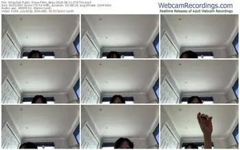 stripchat-rin_desu-08-11-2024-07-47-50