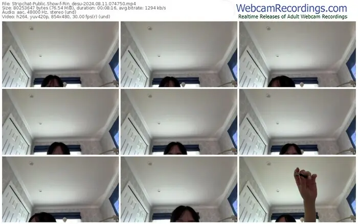 stripchat-rin_desu-08-11-2024-07-47-50