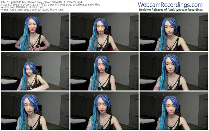 stripchat-roxy_silver-08-11-2024-23-24-39