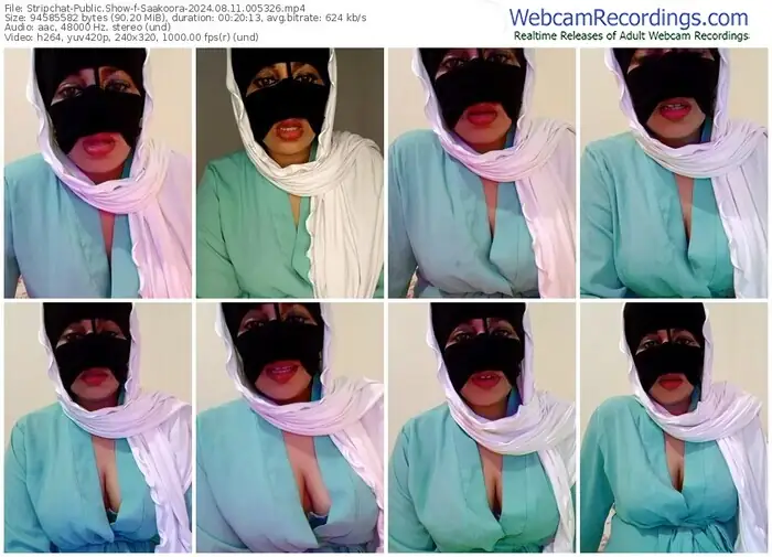 stripchat-saakoora-08-11-2024-00-53-26