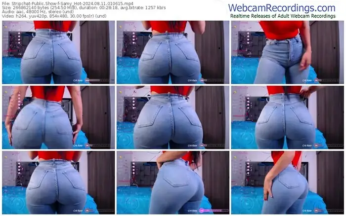 stripchat-samy_hot-08-11-2024-01-06-15