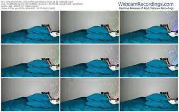 stripchat-thickassrena-08-11-2024-03-00-28