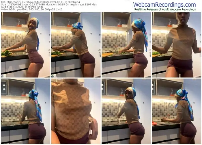 stripchat-utiledakota-08-11-2024-11-30-33