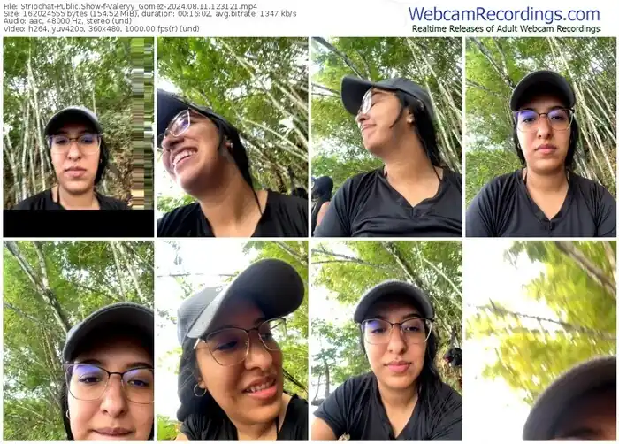 stripchat-valeryy_gomez-08-11-2024-12-31-21