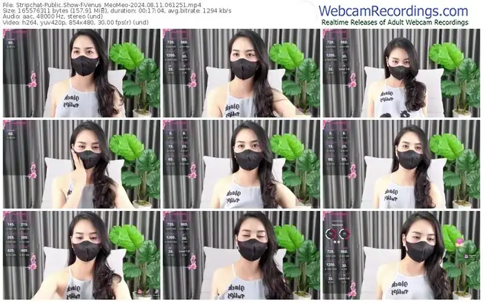 stripchat-venus_meomeo-08-11-2024-06-12-51