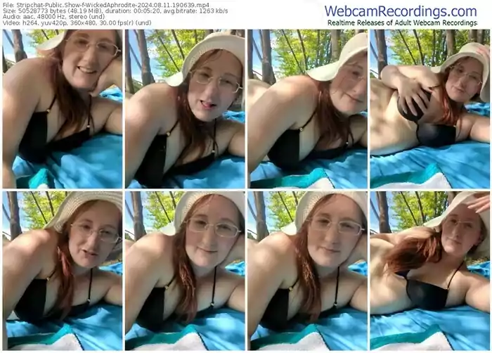 stripchat-wickedaphrodite-08-11-2024-19-06-39