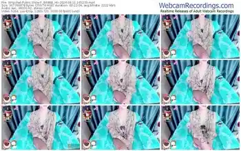 stripchat-_babbe_hii-08-11-2024-16-52-33