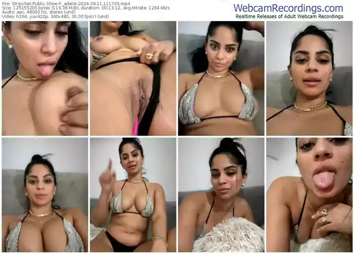 stripchat-_adelle-08-11-2024-11-17-05