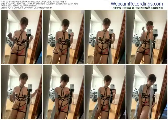 stripchat-linko12334-08-11-2024-03-03-07